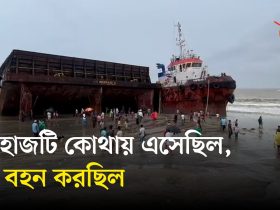 ডোমারে বীজ আলু উৎপাদনে রেকর্ড, খুশি চাষিরা