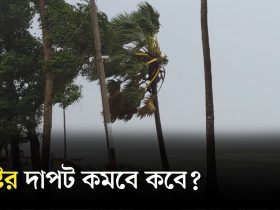 ডিমলায় তিস্তার ভাঙনে বিলীন ৩০ পরিবারের বসতভিটা