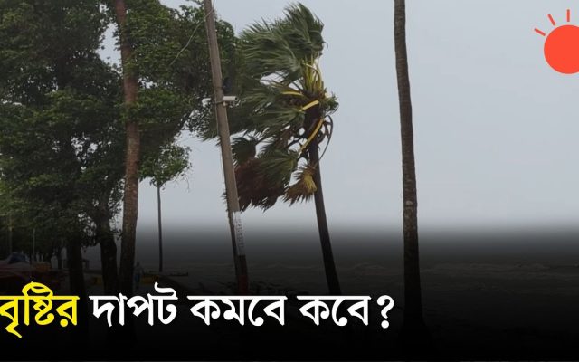 ডিমলায় তিস্তার ভাঙনে বিলীন ৩০ পরিবারের বসতভিটা