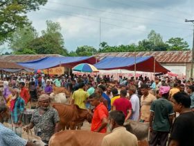 দেবীগঞ্জে গরুর হাটে অতিরিক্ত টোল আদায়, হাট ইজারাদারকে ২০ হাজার টাকা জরিমানা