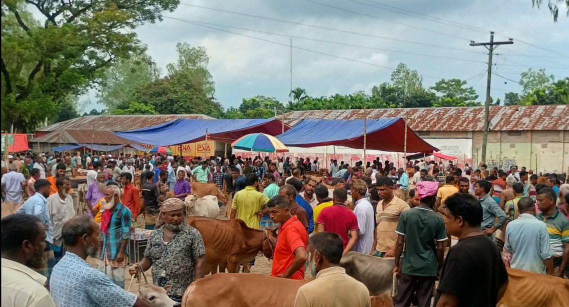 দেবীগঞ্জে গরুর হাটে অতিরিক্ত টোল আদায়, হাট ইজারাদারকে ২০ হাজার টাকা জরিমানা