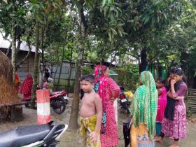 কিশোরগঞ্জে গরুর গুঁতায় প্রাণ গেল শিক্ষিকার